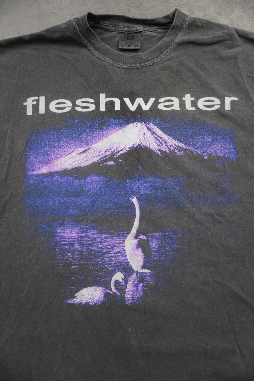 Fleshwater Shirt Mens XL Gray Endless Sky 2025 Tour Graphic Tee Comfort Colors